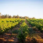 Le Havre Guest In The Heart Of The Vineyard No2307 Badens