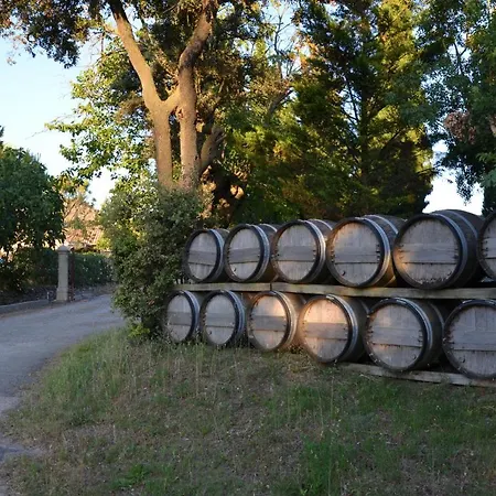Gasthof Le Havre Guest In The Heart Of The Vineyard No2307 Badens