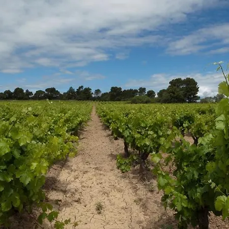 بيت ضيافة Le Havre Guest In The Heart Of The Vineyard No2307 Badens