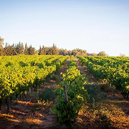 In Guest - Le Havre Guest In The Heart Of The Vineyard Badens