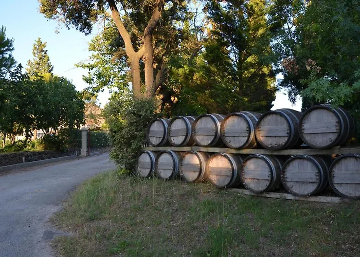 Gasthof Le Havre Guest In The Heart Of The Vineyard No2307 Badens