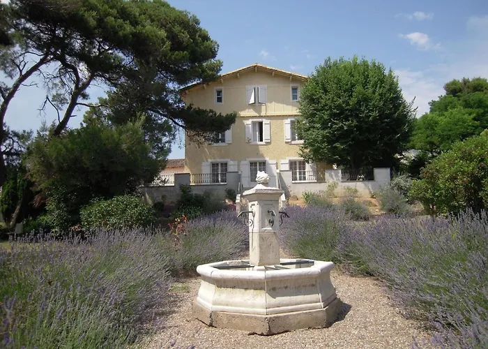 Le Havre Guest In The Heart Of The Vineyard No2307 Gasthof Badens
